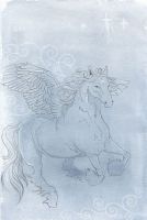 Night Pegasus